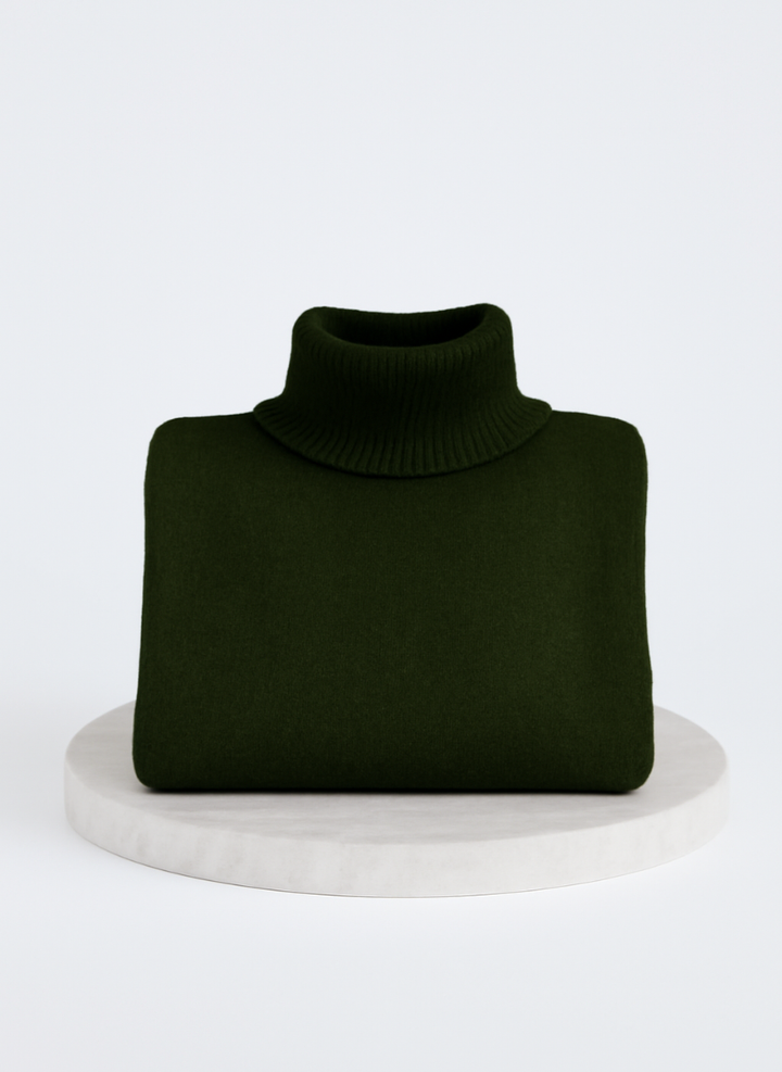 LIV | ELEGANT TURTLENECK